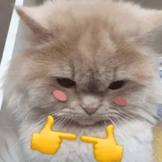 😝-Cats by @stkckers @Unfunnyhooman, Telegram Sticker