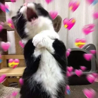 😘-Cats by @stkckers @Unfunnyhooman, Telegram Sticker