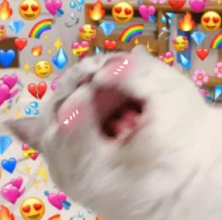 🥰-Cats by @stkckers @Unfunnyhooman, Telegram Sticker