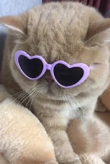 🥰-Cats by @stkckers @Unfunnyhooman, Telegram Sticker
