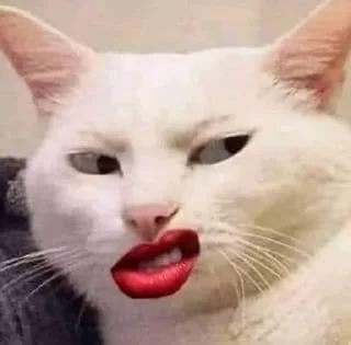😒-Cats by @stkckers @Unfunnyhooman, Telegram Sticker