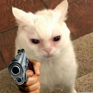 🔫-Cats by @stkckers @Unfunnyhooman, Telegram Sticker