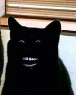 🌚-Cats by @stkckers @Unfunnyhooman, Telegram Sticker