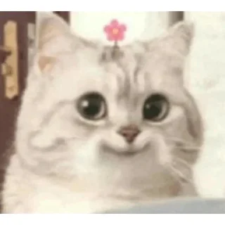 🥰-Cats by @stkckers @Unfunnyhooman, Telegram Sticker