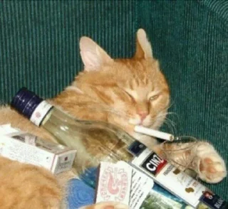 💀-Cats by @stkckers @Unfunnyhooman, Telegram Sticker