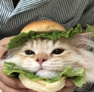 🍔-Cats by @stkckers @Unfunnyhooman, Telegram Sticker