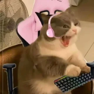 😡-Cats by @stkckers @Unfunnyhooman, Telegram Sticker