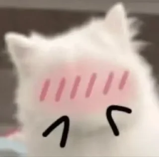 🙈-Cats by @stkckers @Unfunnyhooman, Telegram Sticker
