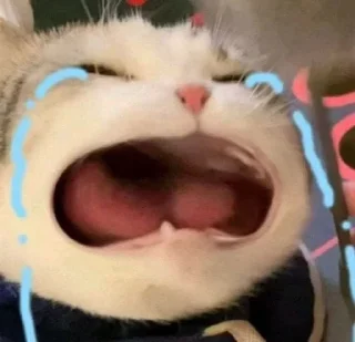 😭-Cats by @stkckers @Unfunnyhooman, Telegram Sticker