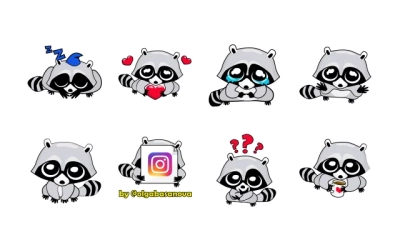 Raccoon