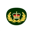 7️⃣-Royal Canadian (Air/Army/Sea) Cadets, Telegram Sticker