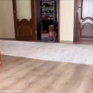 🚶‍♂️-@Stickers_official | reels, Telegram Sticker