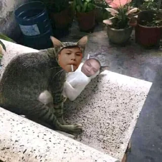 🌟-bacot lo anjg :: @fStikBot, Telegram Sticker