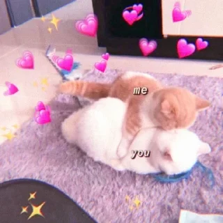 🌷-bacot lo anjg :: @fStikBot, Telegram Sticker