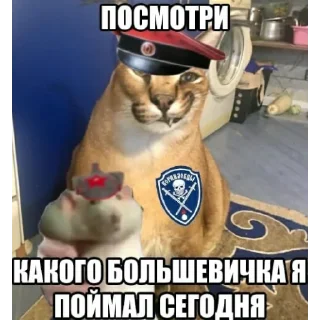 🥇-​Русскіе стикеры​, Telegram Sticker