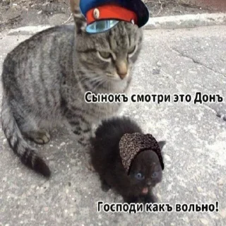 👨‍👦-​Русскіе стикеры​, Telegram Sticker