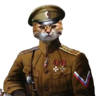 😼-​Русскіе стикеры​, Telegram Sticker