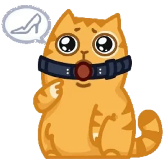 cat hot