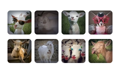 goats sheep