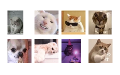 Cats Fun