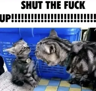 😾-@kapechto type of shit i been on recently, Telegram Sticker