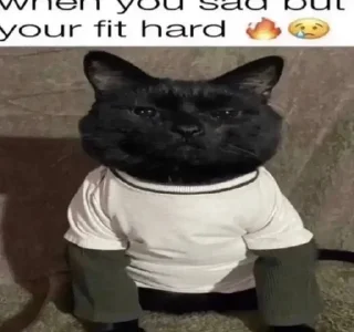 😐-@kapechto type of shit i been on recently, Telegram Sticker
