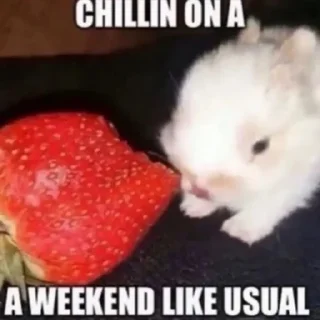 🤪-@kapechto type of shit i been on recently, Telegram Sticker