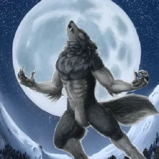 🐺-@kapechto type of shit i been on recently, Telegram Sticker