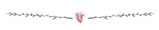 💗-@SANIORA1 ملصقآت سينو ² ‍ ٠, Telegram Sticker