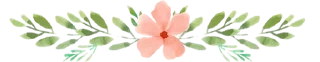 💗-@SANIORA1 ملصقآت سينو ² ‍ ٠, Telegram Sticker