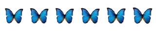 💗-@SANIORA1 ملصقآت سينو ² ‍ ٠, Telegram Sticker