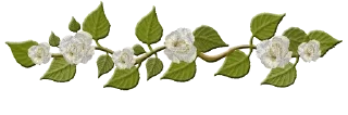 💗-@SANIORA1 ملصقآت سينو ² ‍ ٠, Telegram Sticker