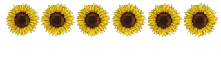 💗-@SANIORA1 ملصقآت سينو ² ‍ ٠, Telegram Sticker