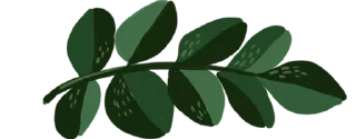 💗-@SANIORA1 ملصقآت سينو ² ‍ ٠, Telegram Sticker
