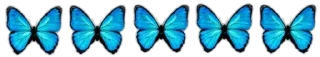 💗-@SANIORA1 ملصقآت سينو ² ‍ ٠, Telegram Sticker