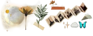 💗-@SANIORA1 ملصقآت سينو ² ‍ ٠, Telegram Sticker
