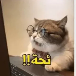 👍-العقرب, Telegram Sticker