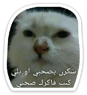 👍-العقرب, Telegram Sticker