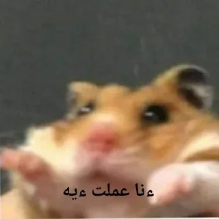 🙂-العقرب, Telegram Sticker