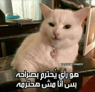 🤝-العقرب, Telegram Sticker