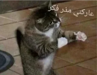 👍-العقرب, Telegram Sticker