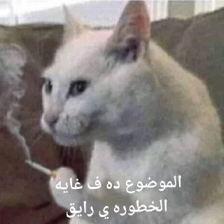 🤝-العقرب, Telegram Sticker