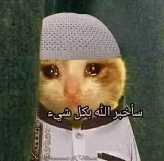 👍-العقرب, Telegram Sticker