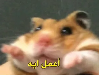 👍-العقرب, Telegram Sticker