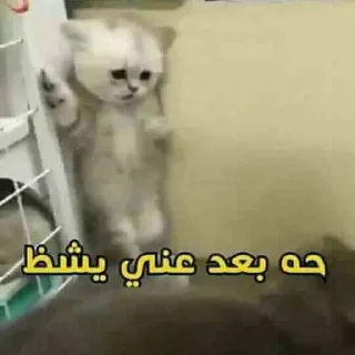 👍-العقرب, Telegram Sticker