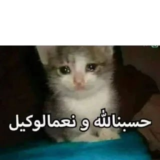 👨‍🦯-العقرب, Telegram Sticker
