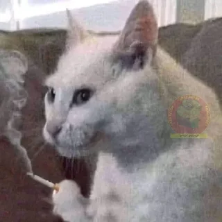 🧑‍🦯-العقرب, Telegram Sticker