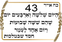 ✡-Sefirat Haomer by @JewishStickers, Telegram Sticker