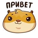😌-Анимированный Сеня, Telegram Sticker