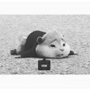 😢-Cr : @sjd_fzl ^^), Telegram Sticker